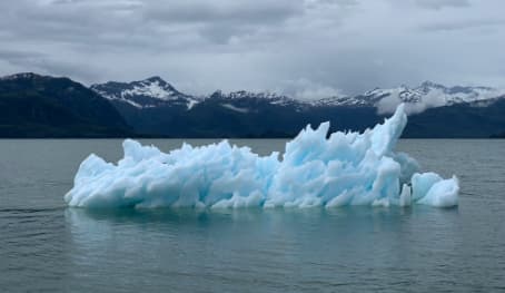 Climate Change and its Effect on the Indian Economy