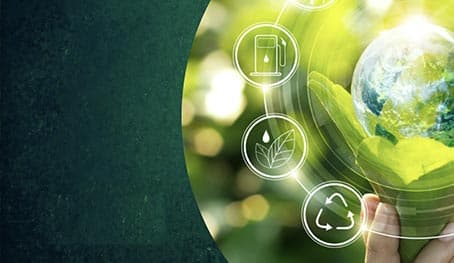 Sustainability in Supply Chains