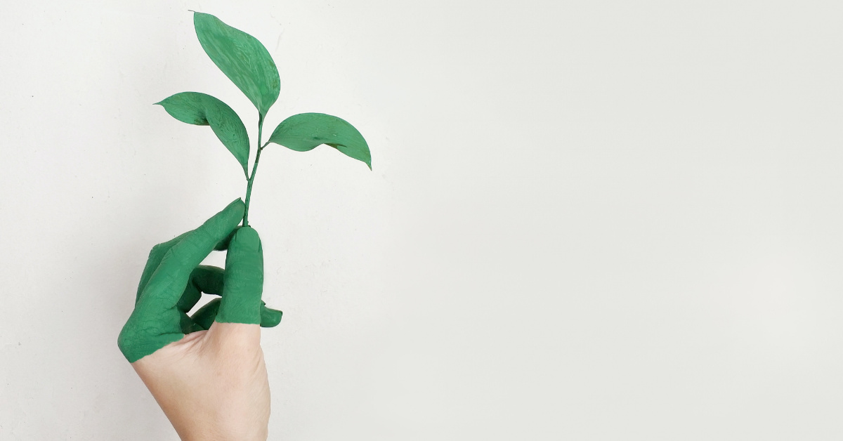 ESG and Sustainable Development in Indian Manufacturing: A Roadmap for the Future